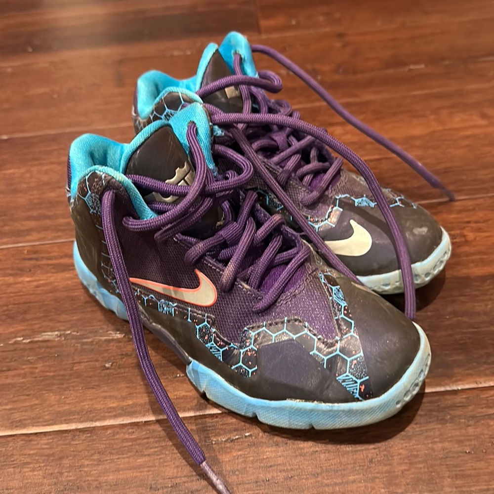 Nike Lebron shoes
